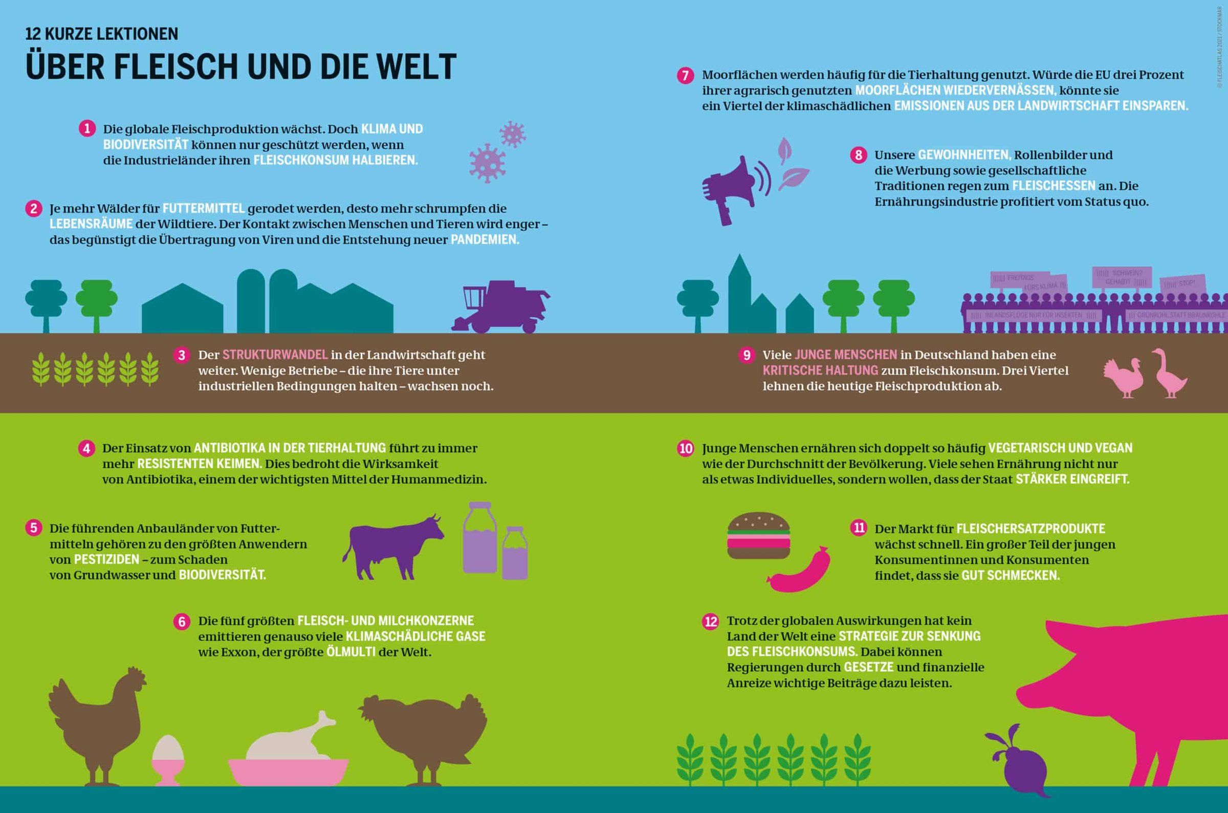 12 kurze Lektionen über Fleisch und die Welt Grafik: Fleischatlas 2021 | Bartz/Stockmar CC-BY-4.0