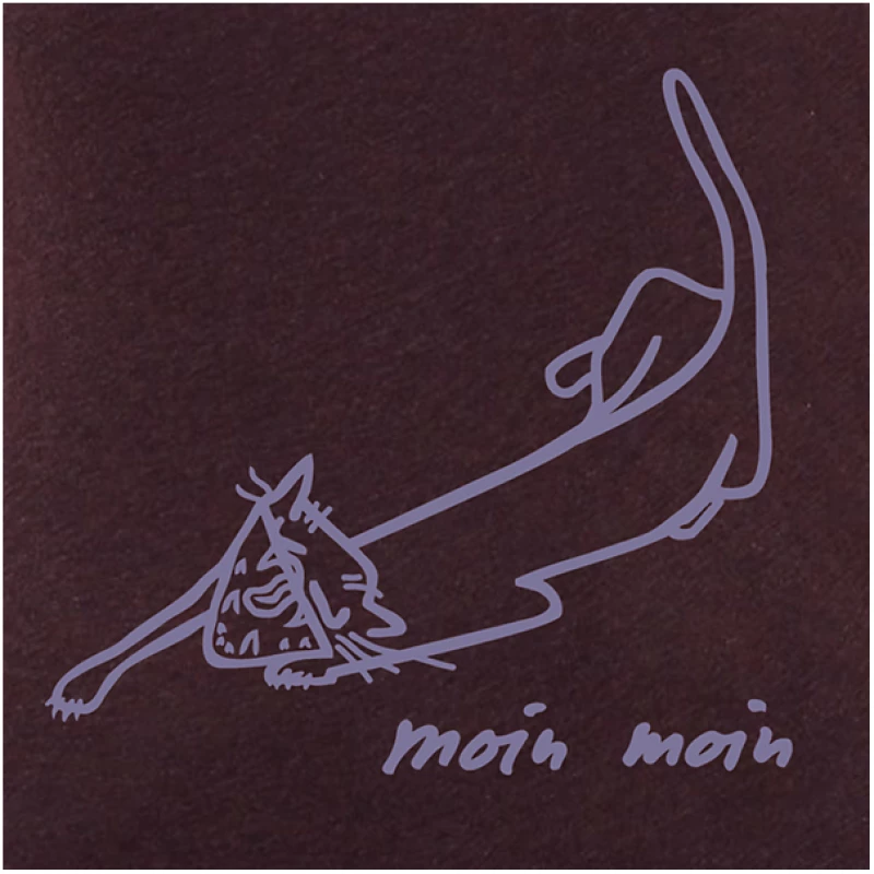 little kiwi Damen T-Shirt, "Moin Moin"