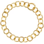 Daphne Thick Gold Chain Choker Necklace