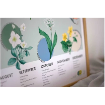 4peoplewhocare Saisonkalender - Wildblumen für Aussat und Blüte A2