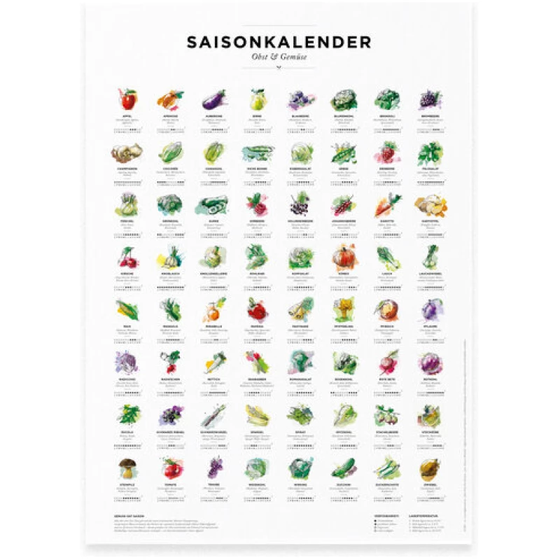 531 Rheinland Design Saisonkalender Obst & Gemüse, Küchen Deko, wall decor, Poster / Plakat in Farbe