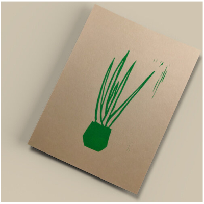 Ballenito Pflanze II - Kunstdruck DIN A5