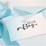 Bow & Hummingbird Mini-Grußkarte Hello Boy