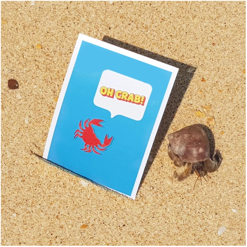 Bow & Hummingbird Postkarte "Oh crab"