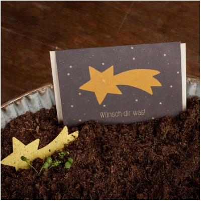 Die Stadtgärtner Grußkarte "Wünsch dir was" | Weihnachtskarte mit Saatgut