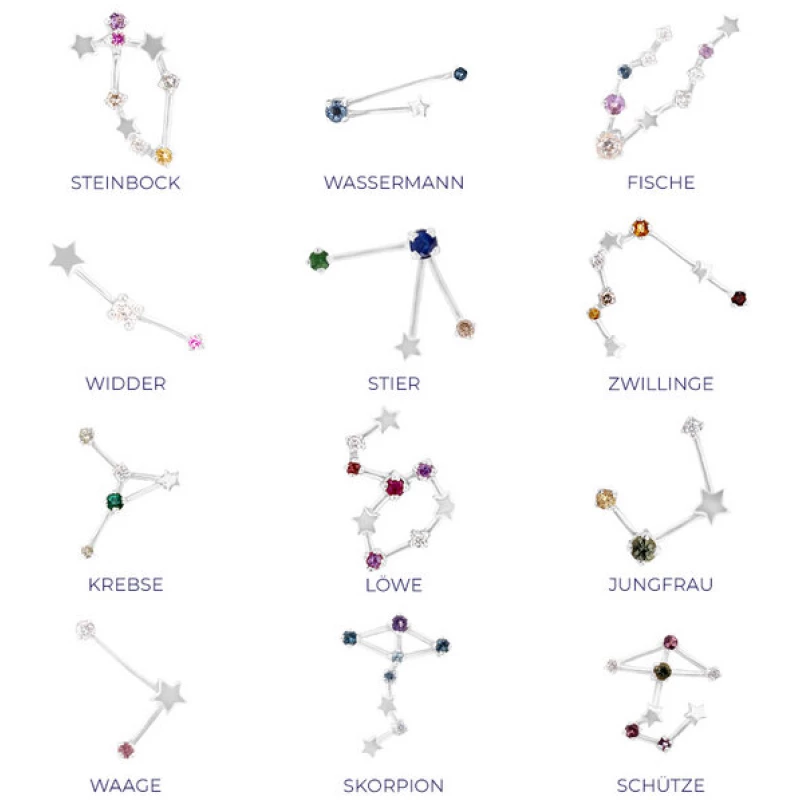 Eppi Ohrringe mit Sternzeichen Aquarius