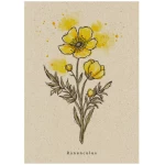 Matabooks Postkarte Graspapier - "Wildflower"