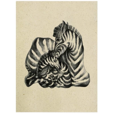 Matabooks Postkarte Graspapier - "Zebra"