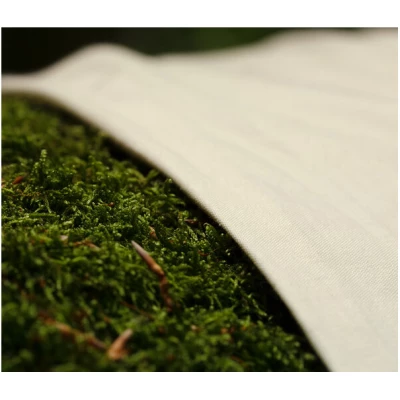 noca Alba, klimapositiver Kissenbezug aus 100% Bio-Baumwollsatin, Natur