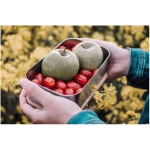 tindobo Lunchbox Premium "Waldpicknick" | Edelstahl | Buchenholz