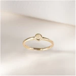 Eppi Minimalistischer Ring mit einem Salt and Pepper Diamanten Emilien