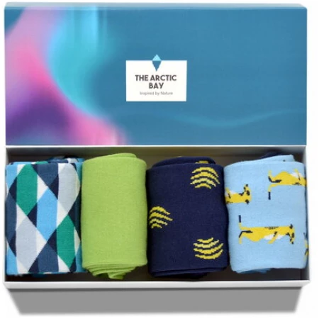 The Arctic Bay Die Arctic Box - Allegro-Edition - 4 Paar Socken