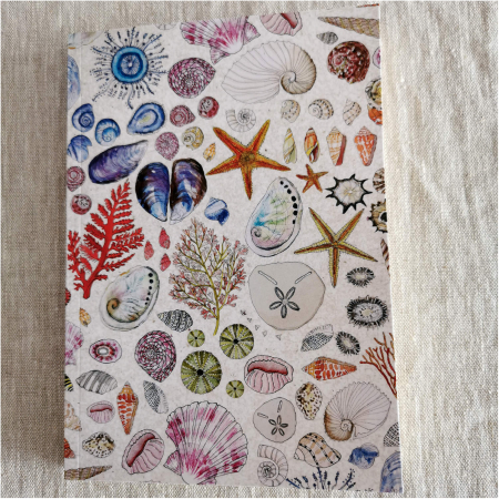 Seashells Journal