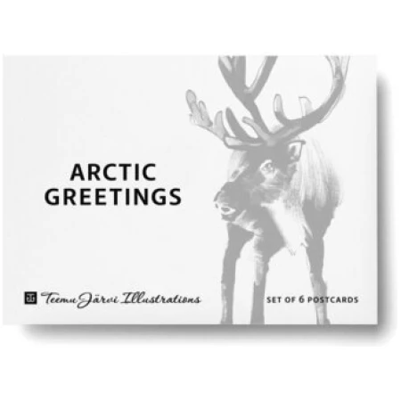 Teemu Järvi Illustrations Teemu Järvi Arctic Greetings Postkarten Set