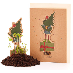 Die Stadtgärtner Nachhaltige Weihnachtskarte zum Einpflanzen mit Wichtel-Motiv inkl. Umschlag | Grußkarte Weihnachten mit Saatgut | Weihnachtsgrußkarte zum Verschenken | Klappkarte mit Aufschrift Ho! Ho! Ho!