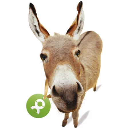 OxfamUnverpackt Spenden-Geschenk "Esel" (Grußkarte mit Magnet)
