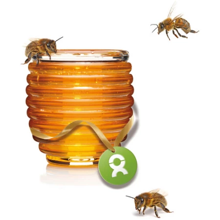 OxfamUnverpackt Spenden-Geschenk "Honigbienen" (Grußkarte mit Magnet)