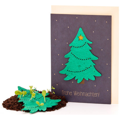 Die Stadtgärtner Nachhaltige Weihnachtskarte zum Einpflanzen mit Tannenbaum-Motiv inkl. Umschlag | Grußkarte Weihnachten mit Saatgut | Klappkarte mit Aufschrift Frohe Weihnachten