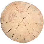 Naturmassivmöbel Baumstamm Beistelltisch Fichte geölt Gartendeko Holzblock Holzklotz