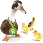 OxfamUnverpackt Spenden-Geschenk "Entenfamilie" (Grußkarte mit Magnet)
