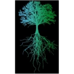 roots of compassion Baum T-Shirt bio & fair & vegan - gerader Schnitt - Wurzeln, Natur