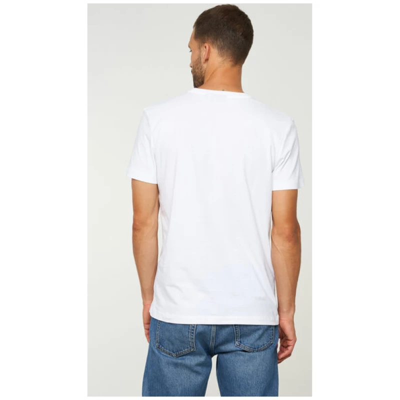 recolution Herren T-Shirt aus weicher Baumwolle (Bio) | Basic T-Shirt AGAVE