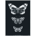 Bio-Baumwolltasche bedruckt - Schmetterlinge - Fairtrade - schwarz // ShellyCreates