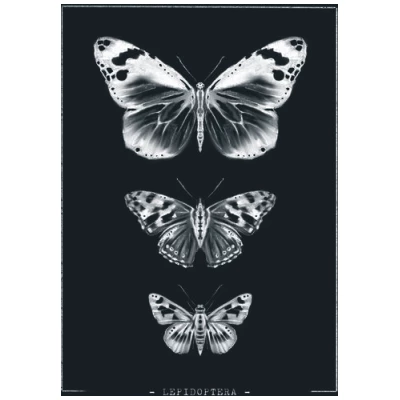 Bio-Baumwolltasche bedruckt - Schmetterlinge - Fairtrade - schwarz // ShellyCreates