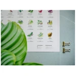 531 Rheinland Design Saisonkalender Obst & Gemüse, Küchen Deko, wall decor, Poster / Plakat in Farbe