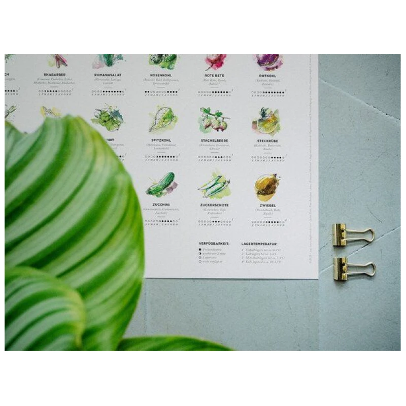 531 Rheinland Design Saisonkalender Obst & Gemüse, Küchen Deko, wall decor, Poster / Plakat in Farbe