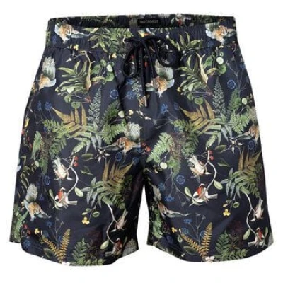 BOTANIST Collection Badehose Farnenwald