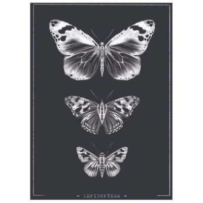 Bio-Baumwolltasche bedruckt - Schmetterlinge - Fairtrade - schwarz // ShellyCreates