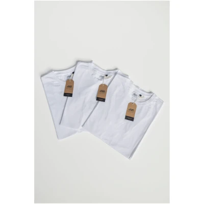 DIRTS Herren vegan Multipack T-Shirt Premium Slim 2.0 Weiß