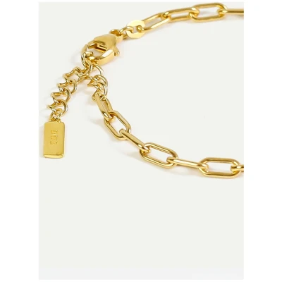 Dear Darling Berlin Damen vegan Armband Ankerkette Gold