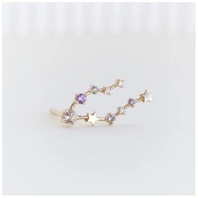 Eppi Ohrringe mit Sternzeichen Pisces