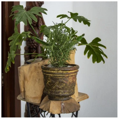 Mitienda Shop Blumentopf Vaso Azteca