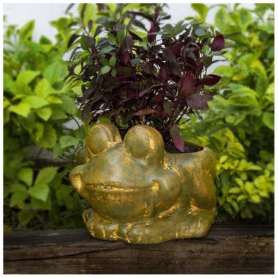 Mitienda Shop Blumentopf aus Ton Frosch