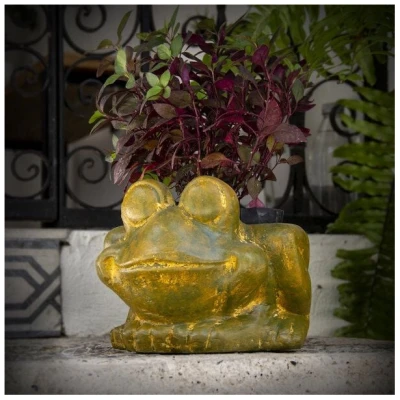Mitienda Shop Blumentopf aus Ton Frosch