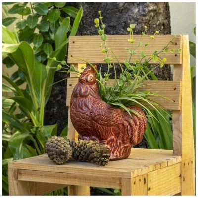 Mitienda Shop Blumentopf aus Ton Hahn indoor & outdoor