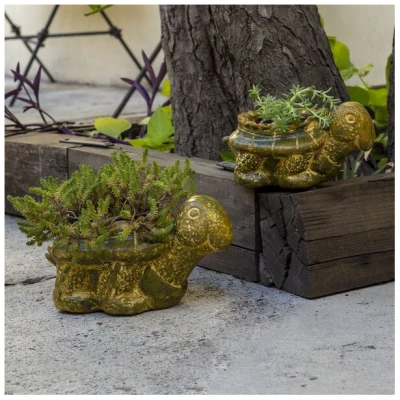 Mitienda Shop Blumentopf aus Ton Schildkröte