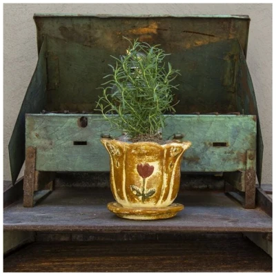 Mitienda Shop Blumentopf aus Ton mit Teller Blume klein