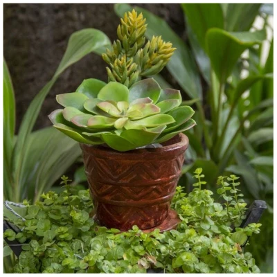 Mitienda Shop Blumentopf aus Ton mit Teller Pyramide
