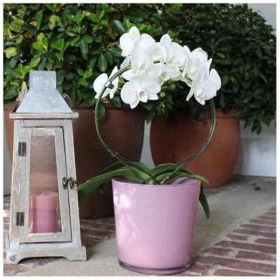 Mitienda Shop Dekovase Conner, Vase altrosa, Blumentopf