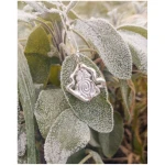 Nouare Jewelry Damen vegan Halskette Goddess Dream Recyceltes Silber