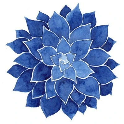 Photocircle Poster / Leinwandbild - Indigo Succulent
