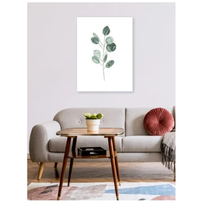 Photocircle Poster / Leinwandbild - Mantika Botanical Eukalyptus Ast