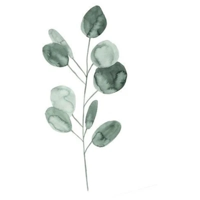 Photocircle Poster / Leinwandbild - Mantika Botanical Eukalyptus Ast