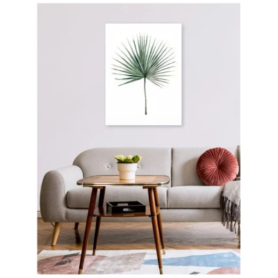 Photocircle Poster / Leinwandbild - Mantika Botanical Palmwedel