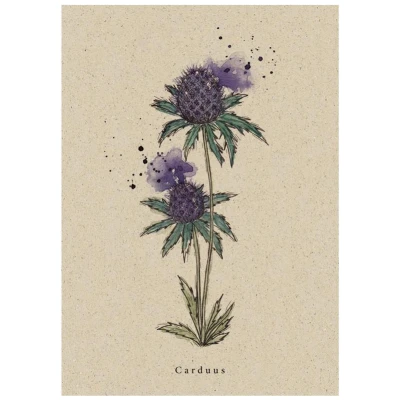 Postkarte Distel