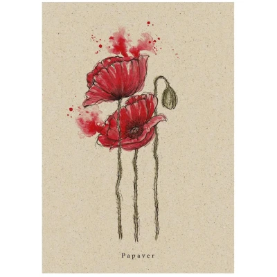 Postkarte Mohn